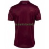 Maillot de Supporter Torino FC Domicile 2022-23 Pour Homme